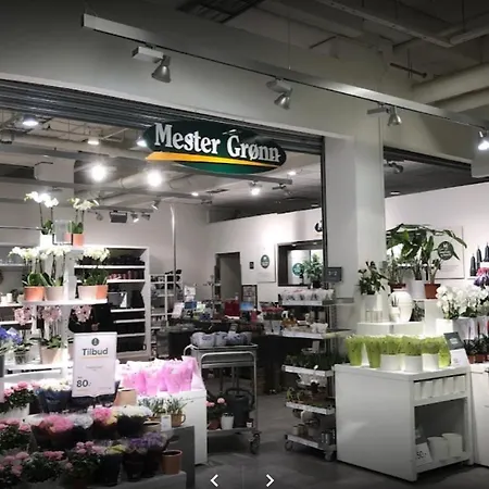 Jeci Sandvika Baerum - Great View And Attractive